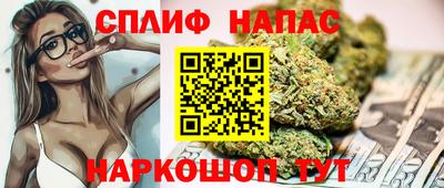 apvp Моздок