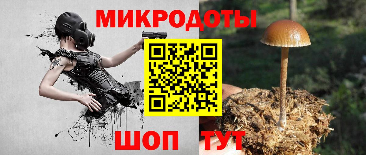 Галлюциногенные грибы MAGIC MUSHROOMS  Вход с VPN  Всеволожск 